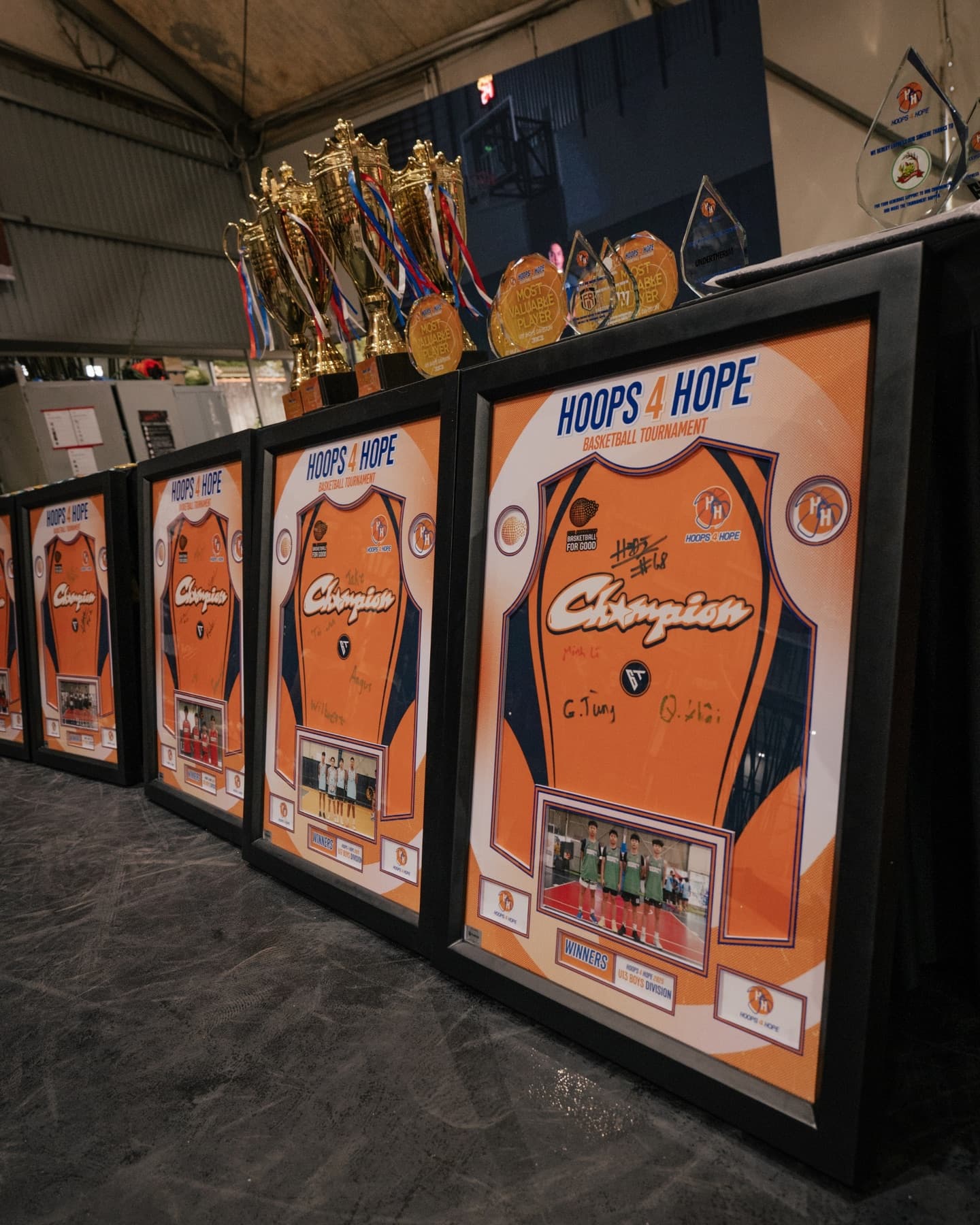 Framigos framed collection